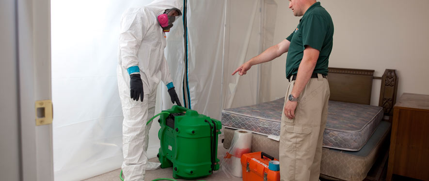 Leander, TX mold removal process